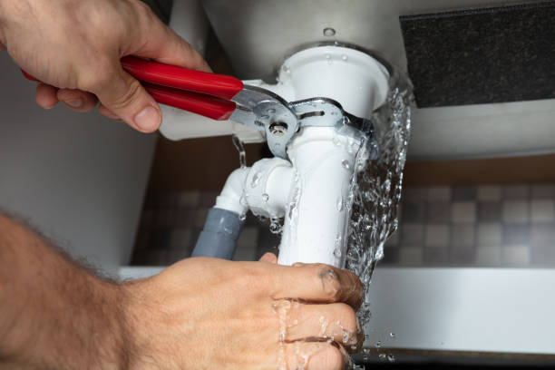 Best Water damage restoration near me  in Zion, IL