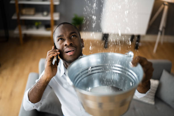 Best Sewage cleanup and water damage restoration  in Zion, IL