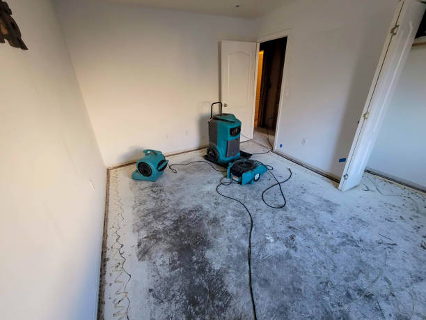 Best 24-hour water damage restoration  in Zion, IL