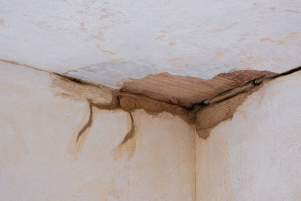 Best Flood damage cleanup  in Zion, IL