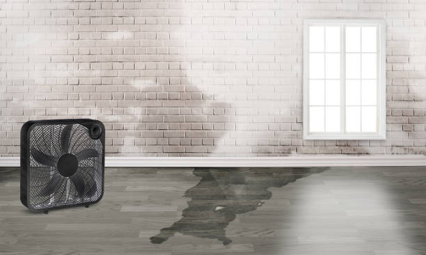 Reliable Zion, IL Water damage restoration Solutions