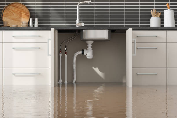 Best Carpet water damage restoration  in Zion, IL