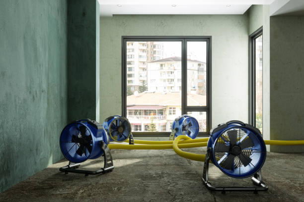 Best Water damage restoration company  in Zion, IL