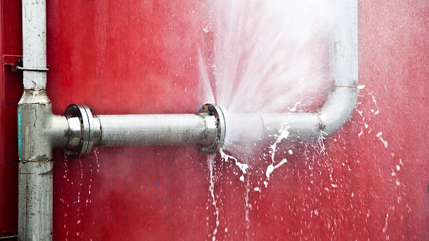 Best Flood restoration services  in Zion, IL